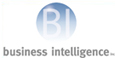 Business Intelligence Inc.