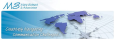 Mary Schnack & Associates