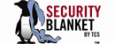 Trusted Computer Solutions