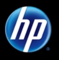 HP Software Services