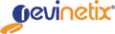 Revinetix, Inc.