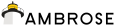 Ambrose Group