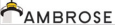 Ambrose Group