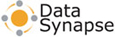 DataSynapse