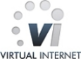 Virtual Internet