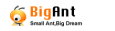 BigAntSoft